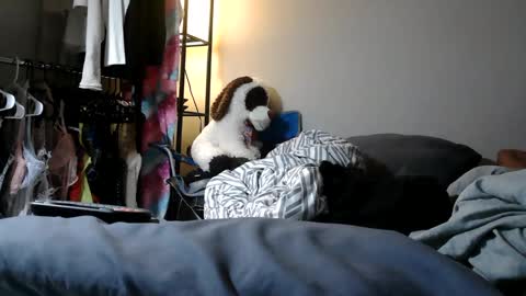 River Saint online show from March 11, 2025, 11:04 pm