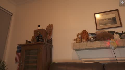 Snapshot of rndmzd chatting on January 4, 2025, 8:28 am Ryan aka KeylimeRy online show from January 4, 2025, 8:28 am