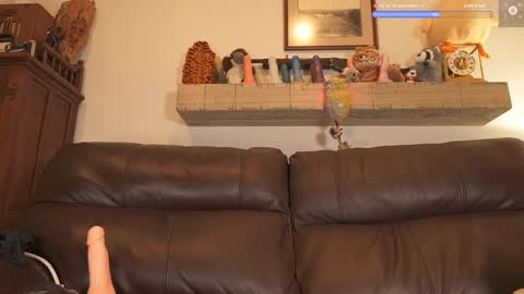 Snapshot of rndmzd chatting on February 14, 2025, 7:38 am Ryan aka KeylimeRy online show from February 14, 2025, 7:38 am