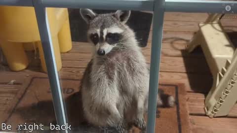 Snapshot of rndmzd chatting on February 28, 2025, 11:36 am Ryan aka KeylimeRy online show from February 28, 2025, 11:36 am