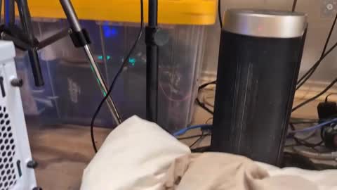 Snapshot of rndmzd chatting on March 11, 2025, 9:02 am Ryan aka KeylimeRy online show from March 11, 2025, 9:02 am