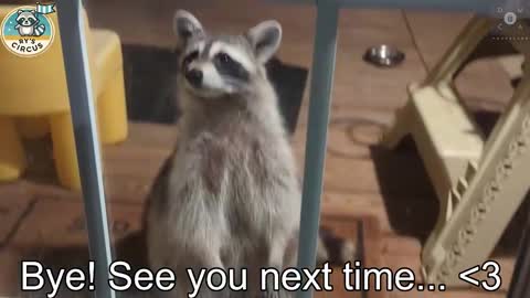 Snapshot of rndmzd chatting on October 24, 2025, 12:52 am Ryan aka KeylimeRy online show from October 24, 2025, 12:52 am