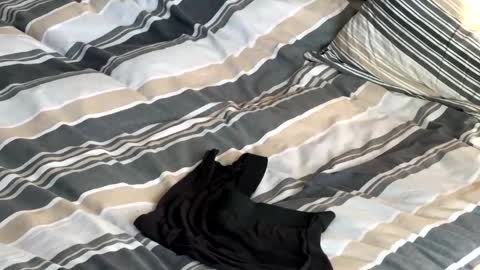 rob616580 online show from January 13, 2026, 10:53 am