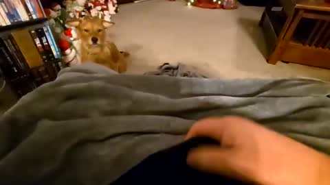 Snapshot of robbiebob6828 chatting on January 9, 2026, 4:26 am robbiebob6828 online show from January 9, 2026, 4:26 am