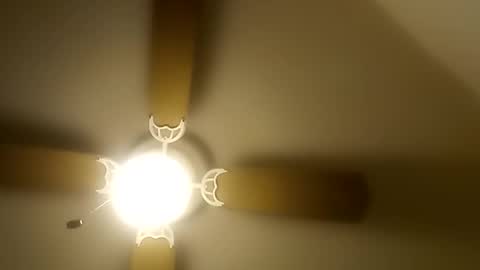 robertsaiz4200 online show from December 20, 2025, 8:49 pm