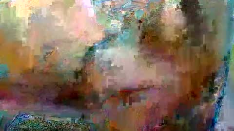 Robgrappler online show from January 17, 2026, 2:38 am