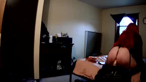 RobinHEAD online show from February 18, 2026, 5:53 pm