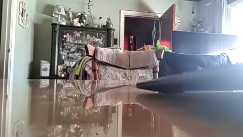 robke1966 online show from April 12, 2026, 6:40 am