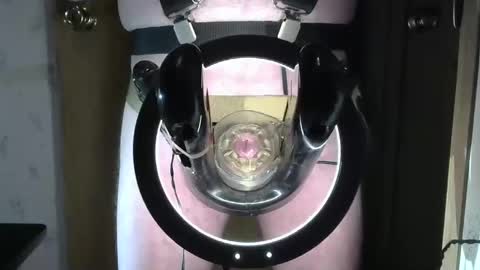 Snapshot of robodickmilker chatting on January 24, 2025, 12:31 am Robodickmilker online show from January 24, 2025, 12:31 am