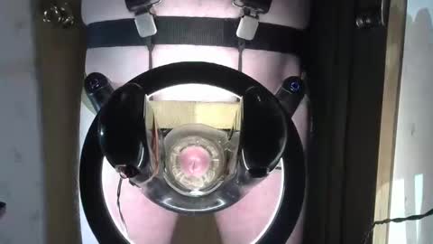 Snapshot of robodickmilker chatting on February 1, 2025, 8:18 am Robodickmilker online show from February 1, 2025, 8:18 am