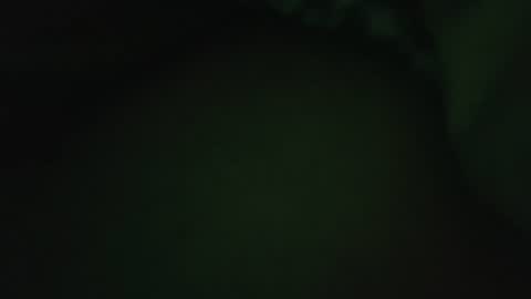 Snapshot of rocce4147 chatting on August 7, 2026, 4:58 am rocce4147 online show from August 7, 2026, 4:58 am