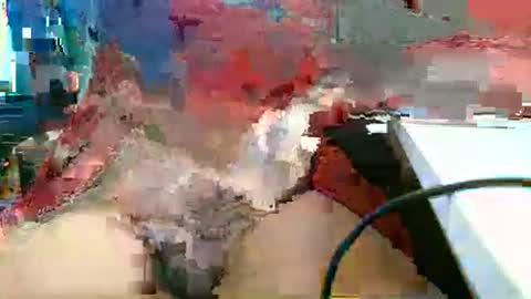 Rocco  aka DaddyRoc online show from March 1, 2026, 1:13 pm