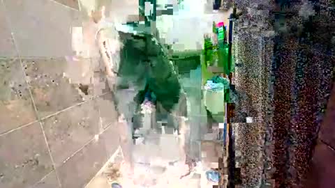 rockdrigo31 online show from November 20, 2025, 5:51 am