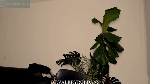 Snapshot of roldansvalery chatting on February 4, 2025, 3:44 am Valery Roldans online show from February 4, 2025, 3:44 am