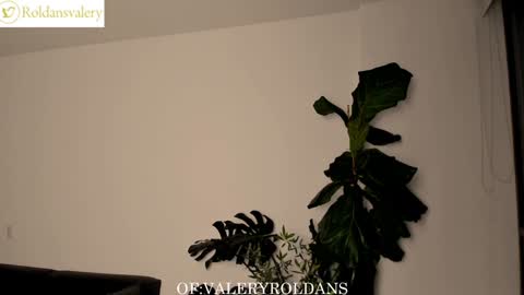 Snapshot of roldansvalery chatting on February 5, 2025, 2:51 am Valery Roldans online show from February 5, 2025, 2:51 am