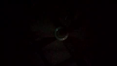 Snapshot of rompeculos121 chatting on March 9, 2025, 11:47 am rompeculos121 online show from March 9, 2025, 11:47 am