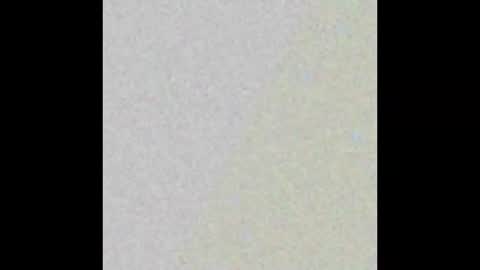 Snapshot of roseybabyy777 chatting on February 14, 2025, 1:23 am Rose online show from February 14, 2025, 1:23 am