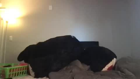 Rosie online show from March 3, 2026, 10:37 pm