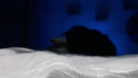 rosyejones online show from February 3, 2026, 6:40 am