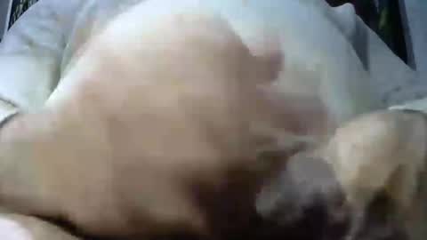 ruggy35 online show from December 7, 2024, 7:38 am