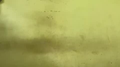 Rupali online show from March 24, 2026, 3:50 pm