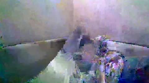 rusqadisx online show from July 17, 2026, 6:35 pm