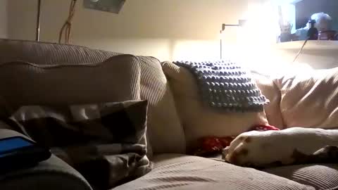 Rusty online show from October 2, 2025, 1:34 am