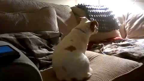 Rusty online show from October 18, 2025, 2:25 am