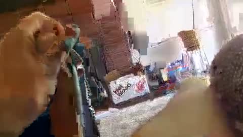 Snapshot of ryanbobby88 chatting on September 29, 2025, 9:08 pm ryanbobby88 online show from September 29, 2025, 9:08 pm