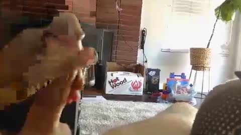 Snapshot of ryanbobby88 chatting on October 1, 2025, 9:43 pm ryanbobby88 online show from October 1, 2025, 9:43 pm