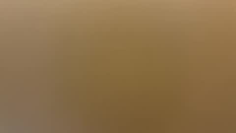 saconuts online show from April 19, 2026, 8:24 am