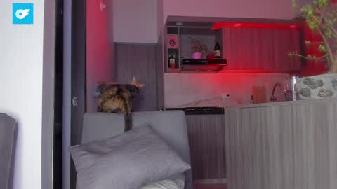 Snapshot of sag_1998 chatting on January 21, 2025, 1:50 am Sag online show from January 21, 2025, 1:50 am