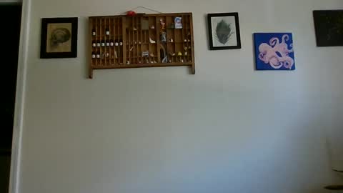 Lelo online show from December 18, 2024, 5:42 pm