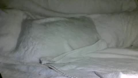 SD17 online show from December 31, 2024, 3:12 am