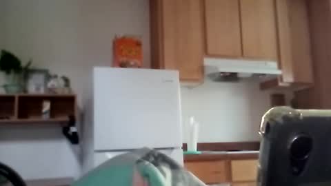 salis1981 online show from December 17, 2025, 11:55 pm