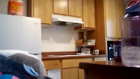 salis1981 online show from December 18, 2025, 6:58 pm