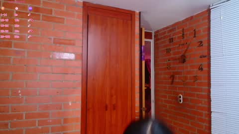 Snapshot of salome_sw chatting on December 13, 2024, 12:31 am SAMANTHA online show from December 13, 2024, 12:31 am