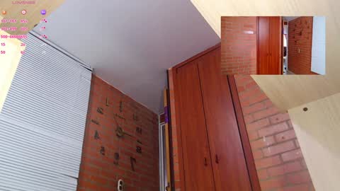 Snapshot of salome_sw chatting on December 19, 2024, 9:38 pm SAMANTHA online show from December 19, 2024, 9:38 pm