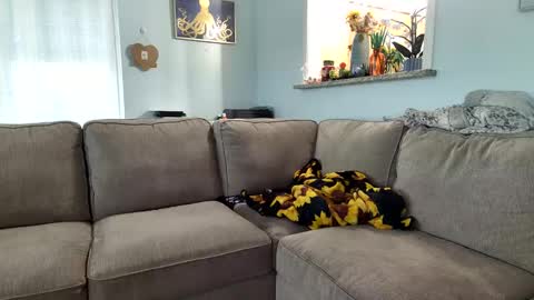 Salty Captain 69  Hat Girl 69 online show from September 19, 2025, 9:37 pm