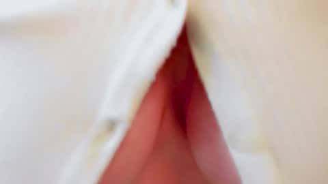 Snapshot of samantha_larusso_ chatting on October 17, 2025, 12:30 pm Andy online show from October 17, 2025, 12:30 pm