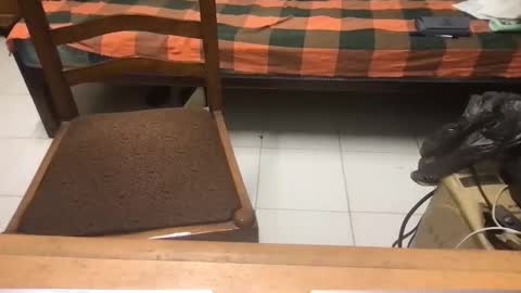 Snapshot of samhotbbc7 chatting on October 19, 2025, 12:33 am samhotbbc7 online show from October 19, 2025, 12:33 am