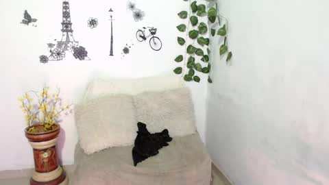 Snapshot of samira_lennox chatting on January 8, 2025, 1:42 am SAMIRA online show from January 8, 2025, 1:42 am