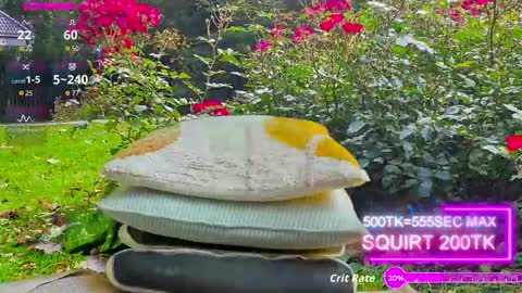 sansa_staark online show from October 17, 2025, 7:44 am