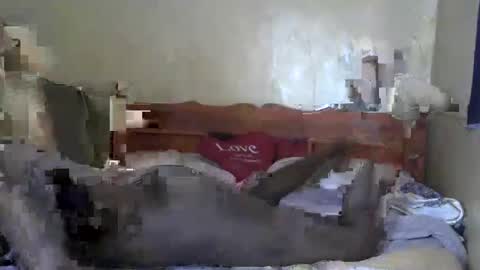 santabarbie online show from March 4, 2025, 6:15 am