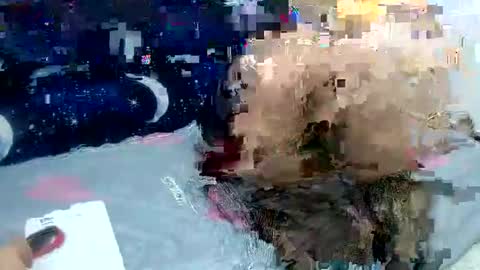 Sara love online show from February 2, 2025, 3:54 am