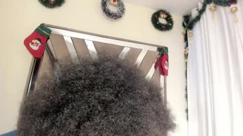 SARA 730 A 200 PM  online show from December 20, 2025, 1:40 pm