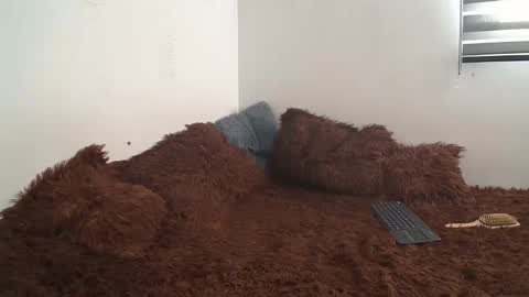 sara and thomas online show from January 10, 2025, 9:10 pm