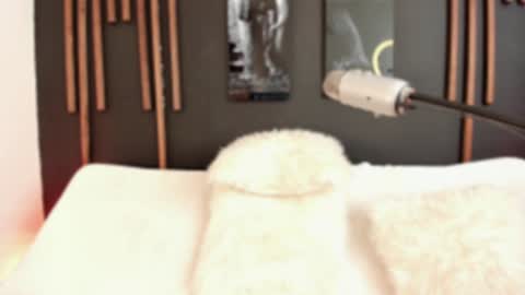     online show from December 9, 2024, 4:58 pm