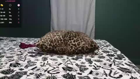 Snapshot of sarahsteveson chatting on June 29, 2026, 3:02 am Sarah Babes online show from June 29, 2026, 3:02 am