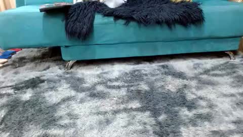 Snapshot of sarita_klein chatting on November 8, 2025, 3:34 pm sarita_klein online show from November 8, 2025, 3:34 pm